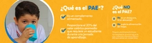 Banner - Que es el PAE