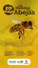 ¡Mosca con las abejas¡