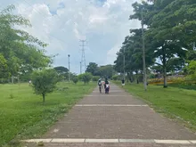  UAESP