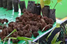 Prográmate con lo fresco, natural y orgánico en nuestros ‘Mercados Campesinos’