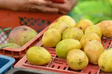 Prográmate con lo fresco, natural y orgánico en nuestros ‘Mercados Campesinos’