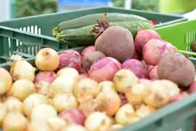 Prográmate con lo fresco, natural y orgánico en nuestros ‘Mercados Campesinos’