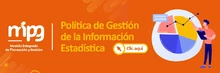 Gestión de la Información Estadística