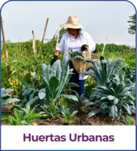 huertas urbanas-18-18