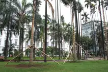 Recuperación Ambiental y Paisajística de la Plaza de Cayzedo
