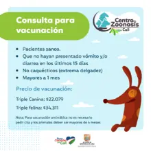 zoonosis