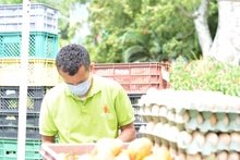 Este fin de semana la cita es con los ‘Mercados Campesinos’ de Cali y sus corregimientos
