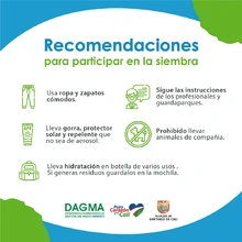 Siembra de árboles memorables en el Corazón de Pance 