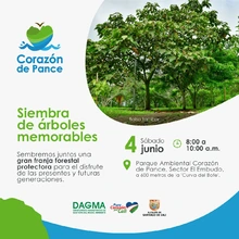 Siembra de árboles memorables en el Corazón de Pance 