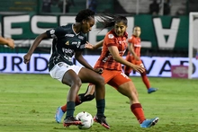 Hinchas del Cali no podrán entrar con camiseta verde en final de Liga Femenina ante América 