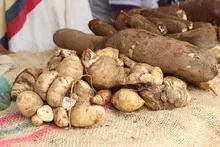 Participamos en la celebración del Día del Campesino 