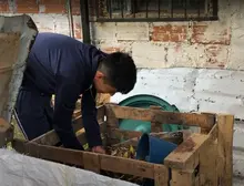 La Educación Ambiental hace parte del plan curricular de las instituciones educativas oficiales de Cali