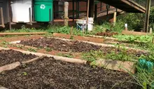 La Educación Ambiental hace parte del plan curricular de las instituciones educativas oficiales de Cali