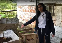 La Educación Ambiental hace parte del plan curricular de las instituciones educativas oficiales de Cali