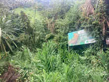 Intercambio de experiencias entre beneficiarios de Bosques para la Vida    