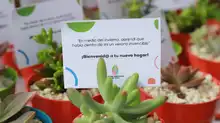 Otras 120 familias dejaron de vivir en riesgo gracias a la vivienda digna del Plan Jarillón