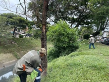 Cero árboles volcados en el pasado vendaval