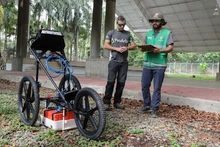 Tecnología de avanzada para el diagnóstico de árboles en Cali  