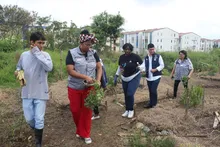 Ediles conocen huertas del Jarillón, trabajo que replicarán en los territorios.
