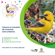 Este sábado en ‘Camina San Antonio’: avistamiento de aves, recorridos peatonales y taller de alfeñique