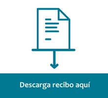 Botón Descarga Recibo de Pago