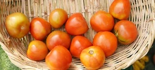 Agroferia impulsa la economía campesina de Cali y el Valle del Cauca