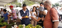 Agroferia impulsa la economía campesina de Cali y el Valle del Cauca