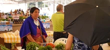 Agroferia impulsa la economía campesina de Cali y el Valle del Cauca