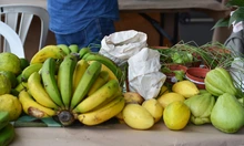 Cali, epicentro de la Agroferia y Gran Mercado Campesino del Valle