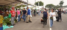 “Cali es Cali... y también es loma”: así comercializan sus productos campesinos de la zona rural