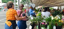 Avanza el segundo día de la “Agroferia y Gran Mercado Campesino” del 2022
