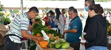 Avanza el segundo día de la “Agroferia y Gran Mercado Campesino” del 2022