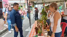‘Camina San Antonio’ finalizó con oferta gastronómica, cultural y artística