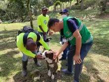 Recuperación de predios en zona de interés ambiental 