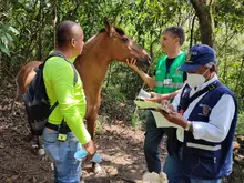 Recuperación de predios en zona de interés ambiental 