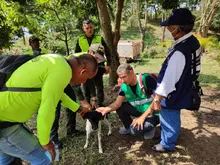 Recuperación de predios en zona de interés ambiental 