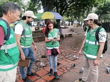 DAGMA inició acciones de protección y cuidado a palomas del centro de Cali