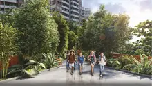 14 PASARELA CORREDOR BIOLOGICO JARDINES AROMATICOS