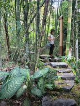 1_SENDERO-EN-PIEDRA