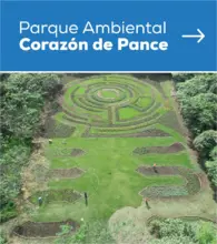 Corazón de Pance