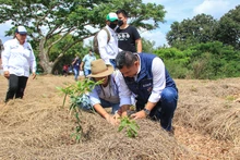 En Cali existen 490 huertas urbanas que siembran esperanza ambiental 