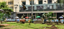 Con renovación del césped, avanza plan de intervención y recuperación de la Plaza de Cayzedo
