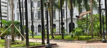 Con renovación del césped, avanza plan de intervención y recuperación de la Plaza de Cayzedo