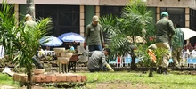 Con renovación del césped, avanza plan de intervención y recuperación de la Plaza de Cayzedo