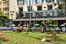 Adelant}os en la recuperación ambiental de la Plaza de Cayzedo