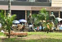 Adelantos en la recuperación ambiental de la Plaza de Cayzedo