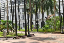 Adelantos en la recuperación ambiental de la Plaza de Cayzedo
