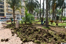 Adelantos en la recuperación ambiental de la Plaza de Cayzedo