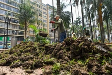 Adelantos en la recuperación ambiental de la Plaza de Cayzedo
