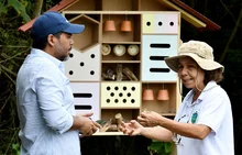 Hotel para abejas